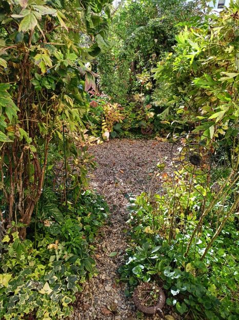  - Grădina 2023 continuare 5