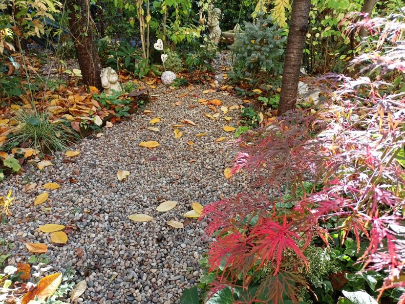 Hana Matoi - Arțari