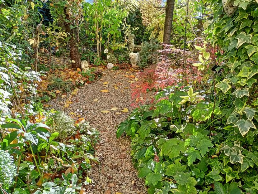 Hana Matoi - Arțari