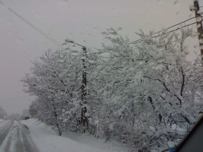  - Peisaje de iarna 2009 - 2010