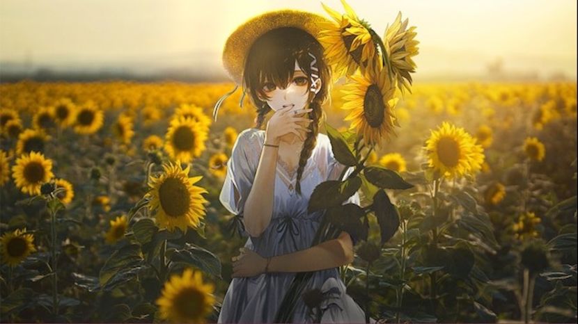  - Sunflower