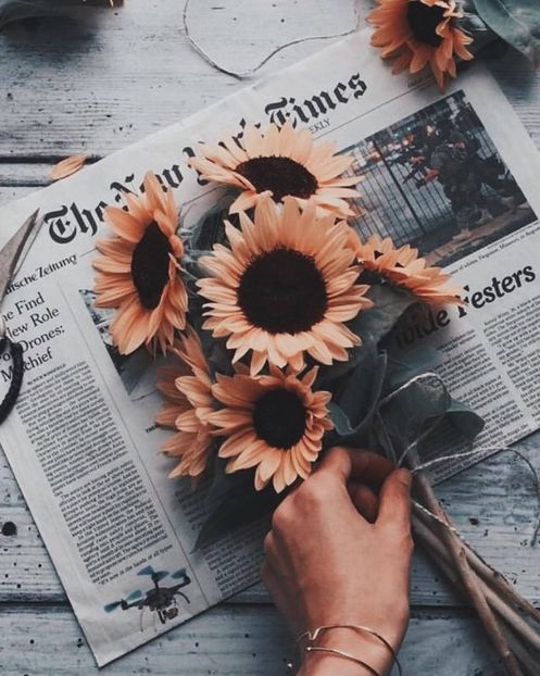  - Sunflower