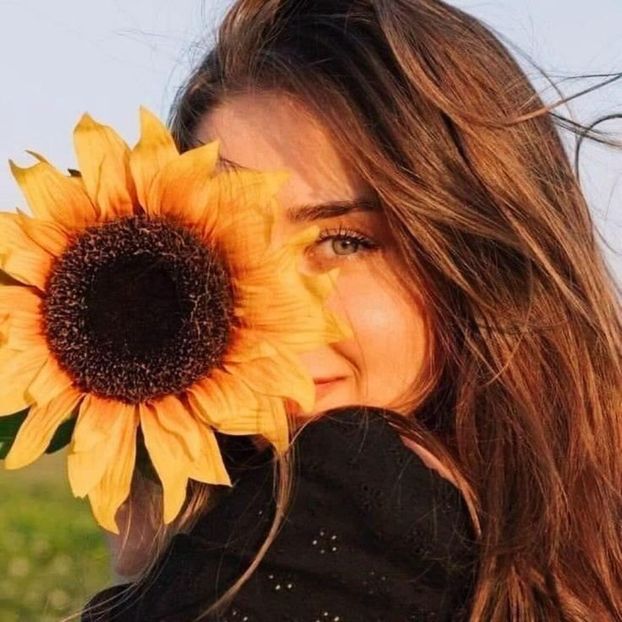  - Sunflower