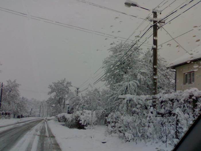  - Peisaje de iarna 2009 - 2010
