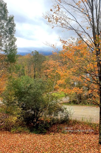 Val des Monts 2 - CANADIAN AUTUMN - Toamna canadiana