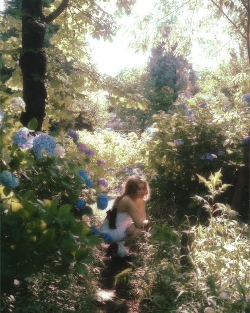 秘密の花園 - Collection of Tintypes