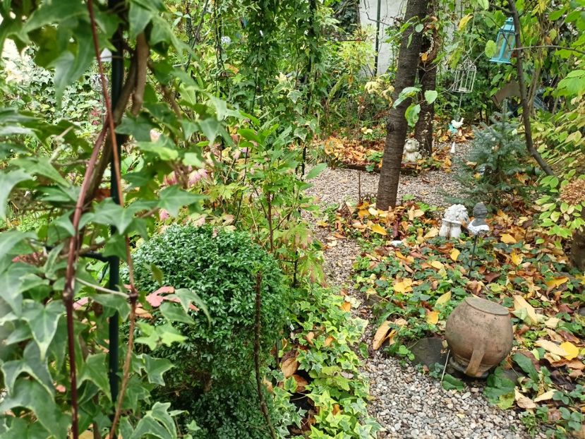  - Grădina 2023 continuare 5