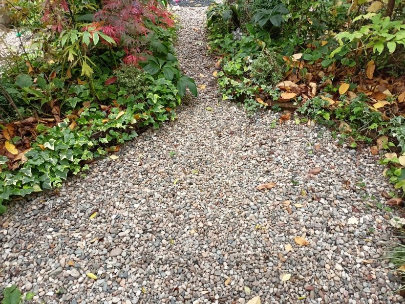 03.11.2023 - Arțari