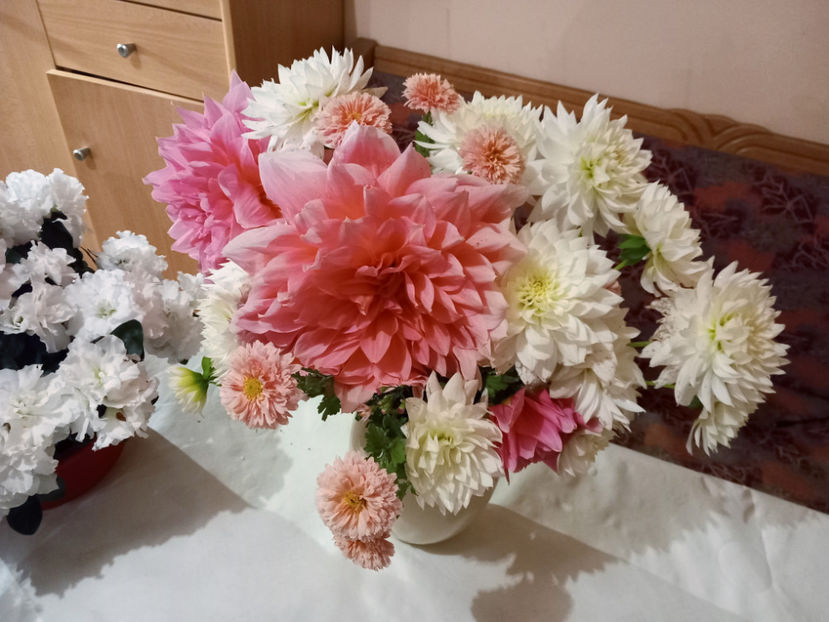 © - 01 - Floristica