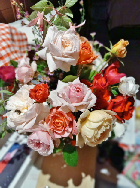 © - 01 - Floristica