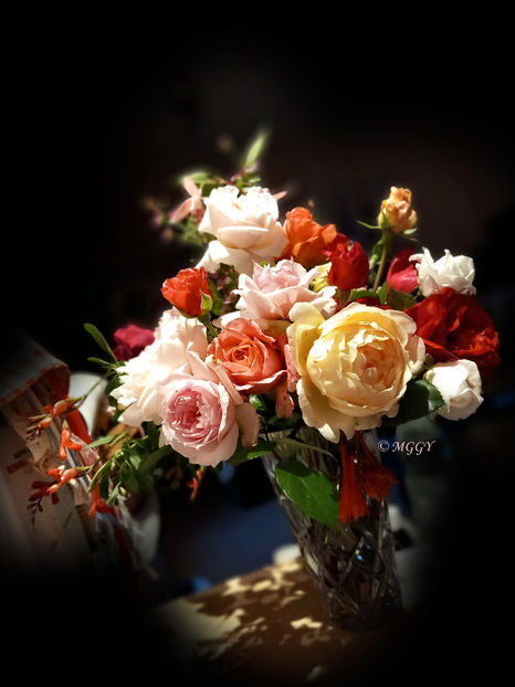 © - 01 - Floristica