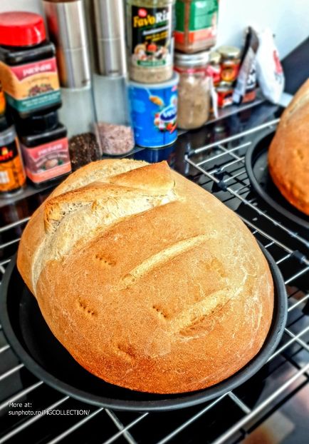 Painea cea de toate zilele - Daily bread - K - FOOD and DRINKS - Mancare si bauturi