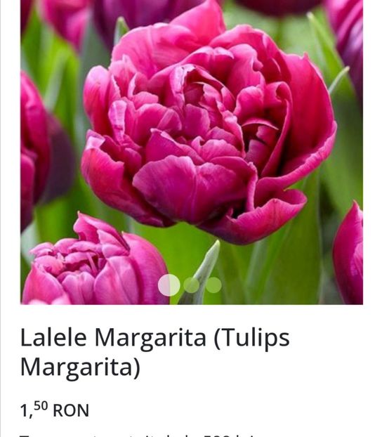 Screenshot_20231107_232916 - aaa Comanda plante 2022 2023 2024