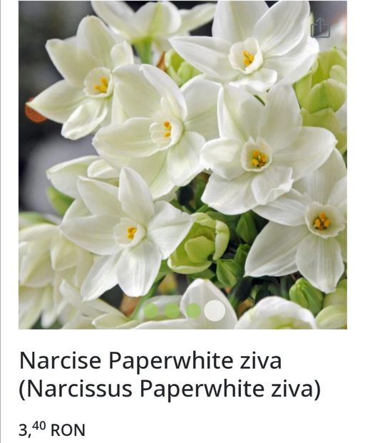 Screenshot_20231107_232518 - aaa Comanda plante 2022 2023 2024