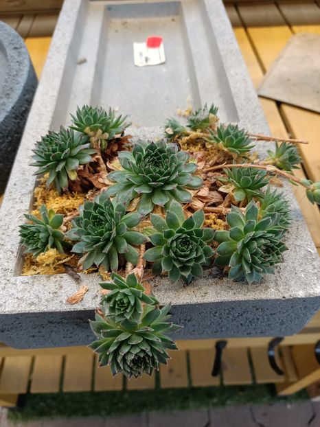 Img.2023.11.07 - Magazin 2