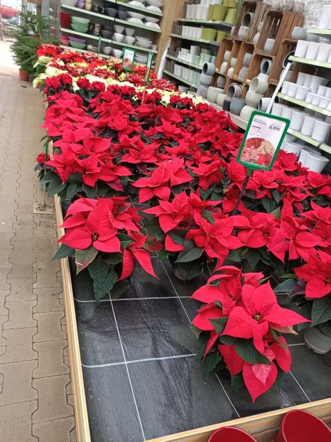 Img.2023.11.07 - Magazin 2