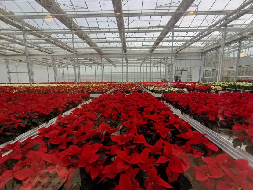 Img.2023.11.07 - Magazin 2