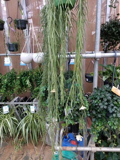 Img.2023.11.07 - Magazin 2