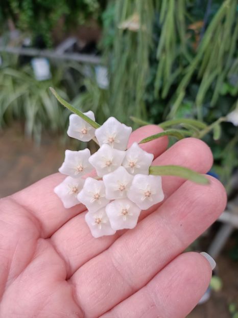 Img.2023.11.07 - Magazin 2