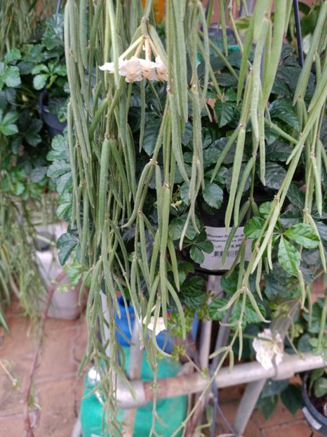 Img.2023.11.07 - Magazin 2