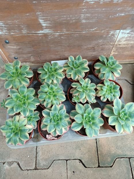 Img.2023.11.07 - Magazin 2