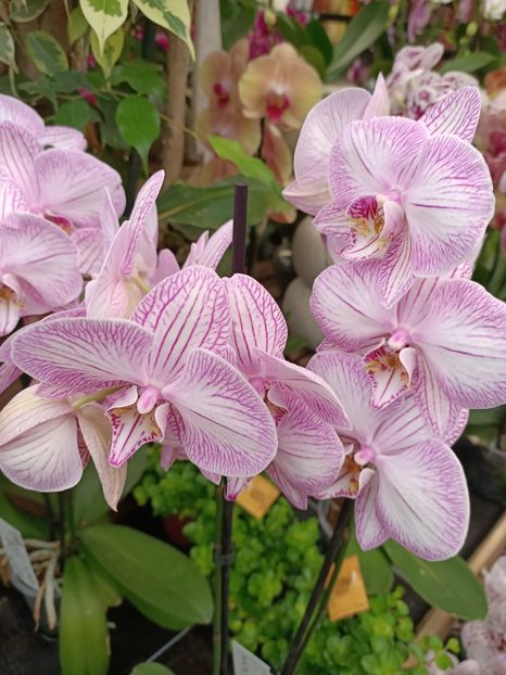 Img.2023.11.07 - Magazin 2