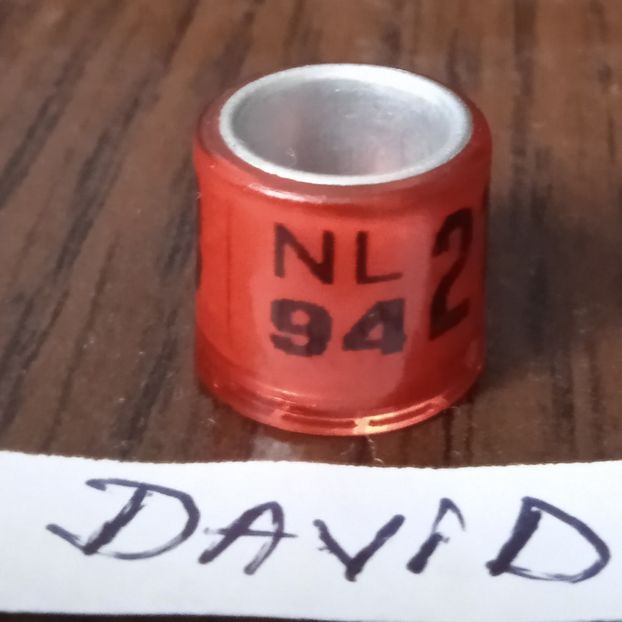 1994-Olanda - Olanda