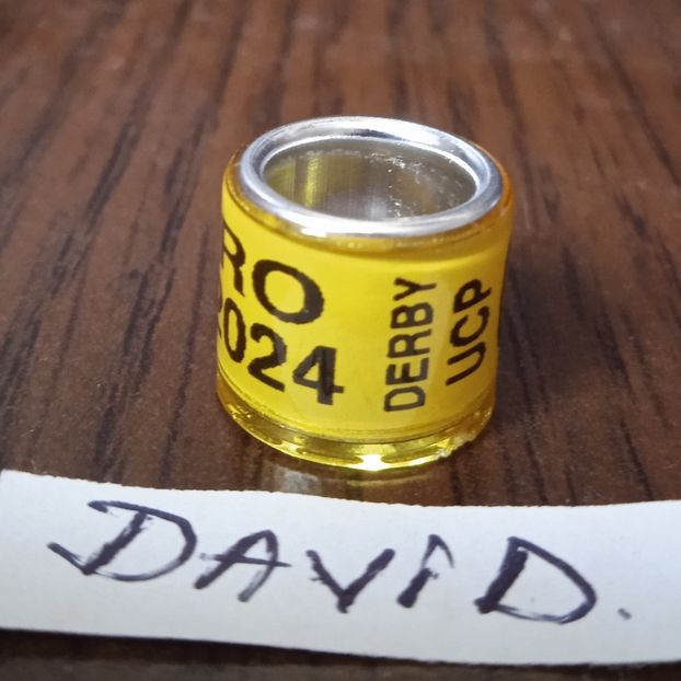 2024-Romania UCP DERBY-P - Romania