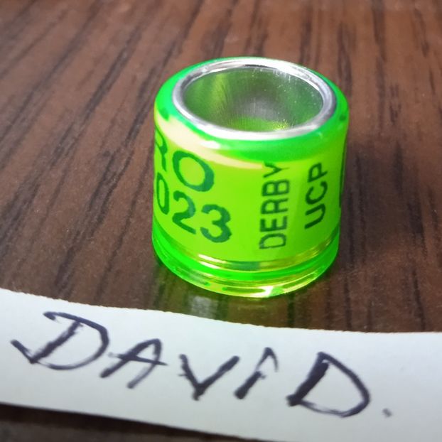 2023-Romania UCP DERBY-P - Romania