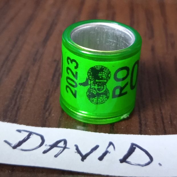 2023-Romania FCI - Romania