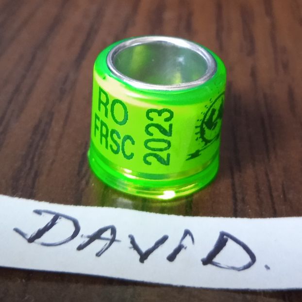 2023-Romania FRSC - Romania