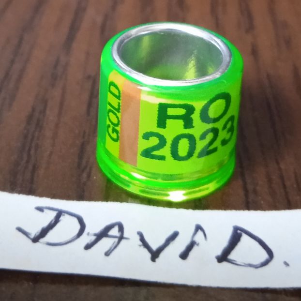 2023-Romania GOLD-P - Romania