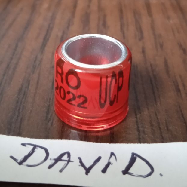 2022-Romania UCP - Romania