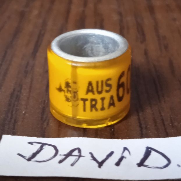 2019-Austria - Austria