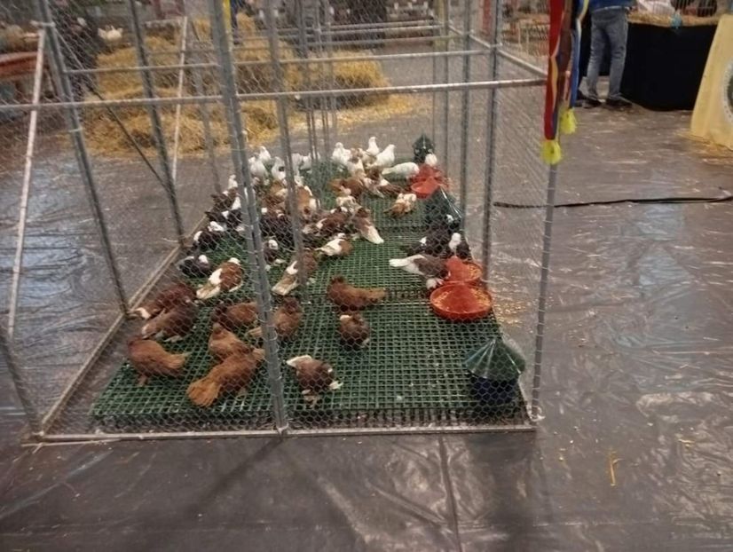  - Expo bucovina 2023