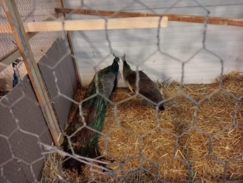  - Expo bucovina 2023