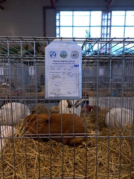  - Expo bucovina 2023