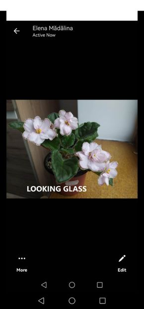 Screenshot_20231109_153536_com.facebook.orca - Looking Glass