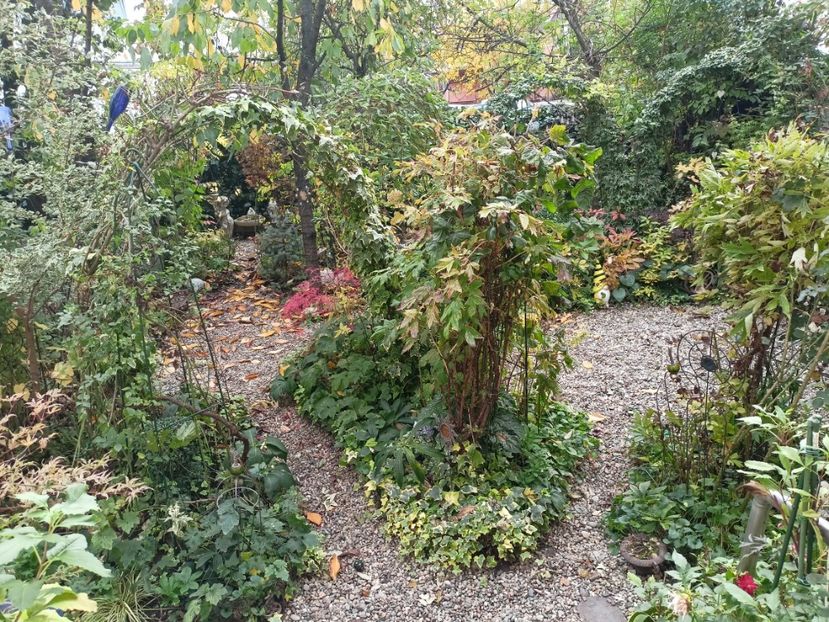 10.11.2023 - Grădina 2023 continuare 5