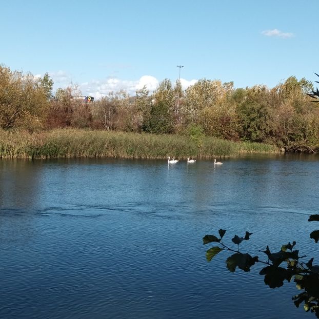  - Natura văzuta prin ochii mei