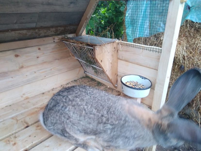 IMG-20231104-WA0000 - 2023