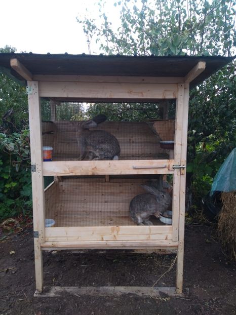 IMG-20231104-WA0003 - 2023