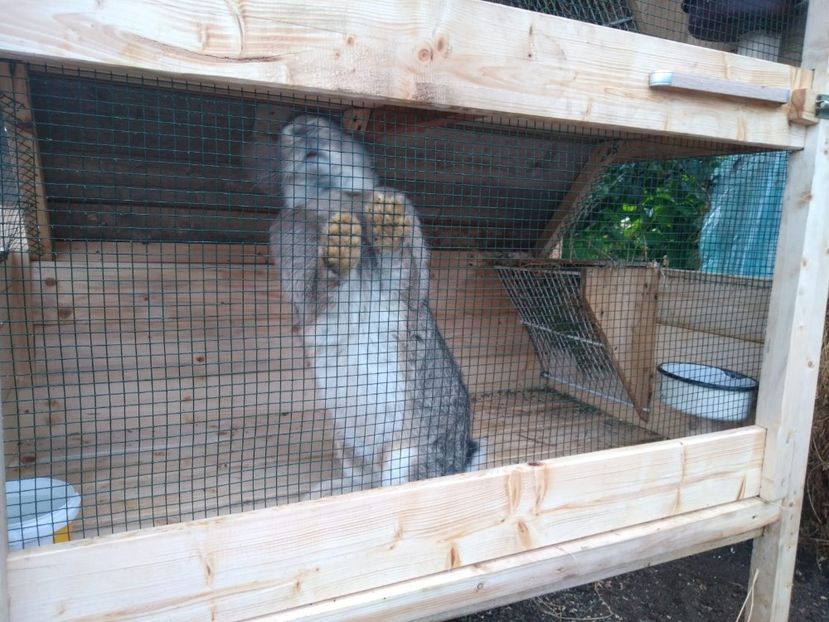 IMG-20231104-WA0005 - 2023