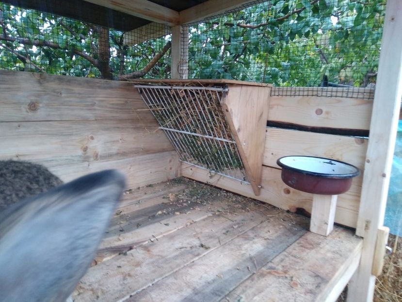 IMG-20231104-WA0004 - 2023