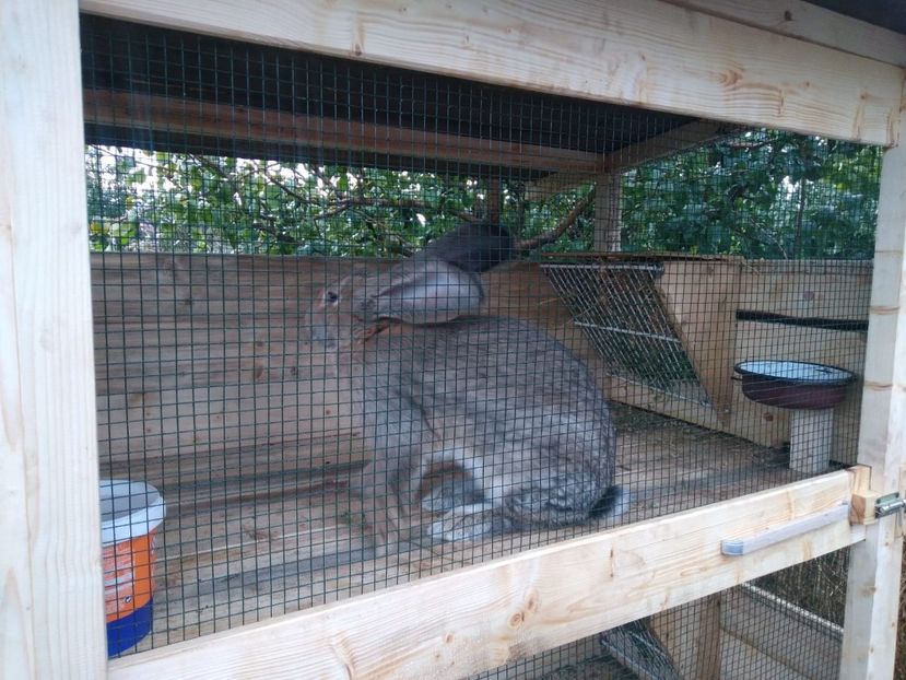 IMG-20231104-WA0002 - 2023