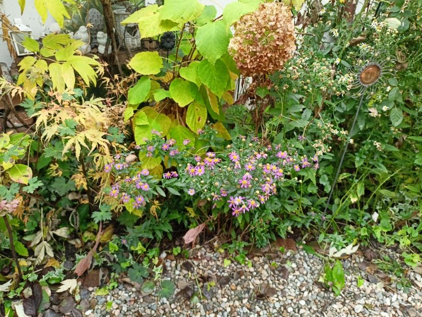 Manyo No Sato - Arțari