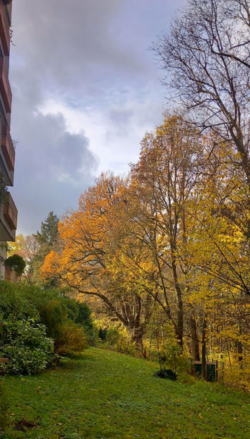  - 2023 - 03 - Toamna