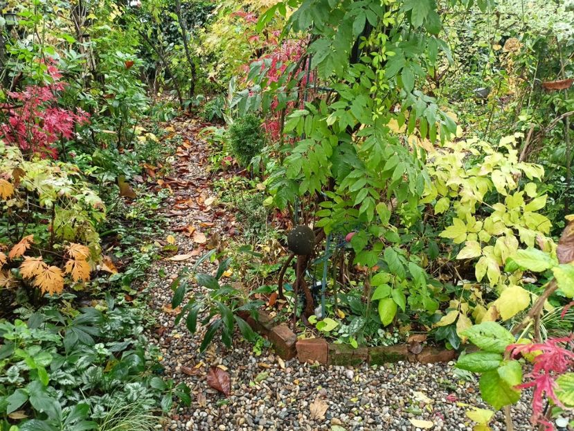  - Grădina 2023 continuare 5