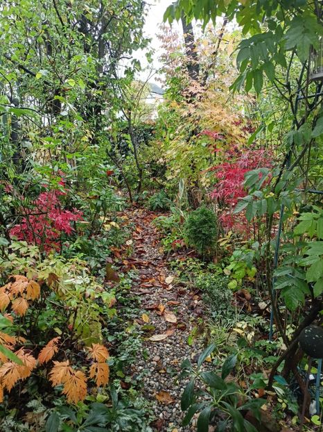  - Grădina 2023 continuare 5