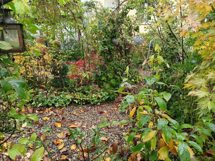  - Grădina 2023 continuare 5